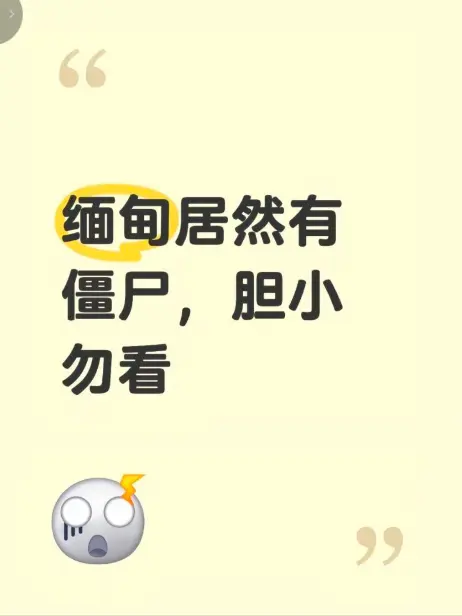《缅甸僵尸出土事件》高清无删减免费播放 揭秘缅北神秘事件真相 最新完整版在线观看 缅甸僵尸出土事件视频