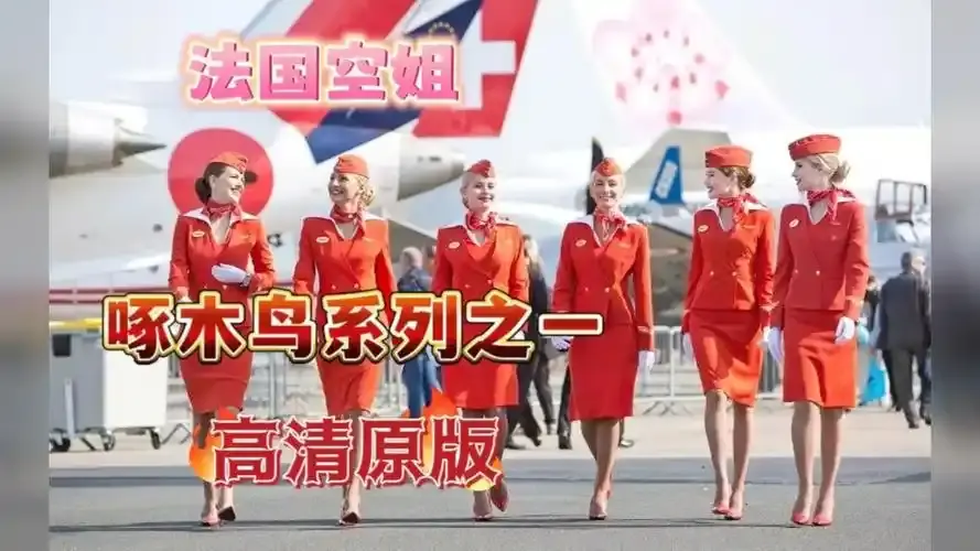 《法国空姐》资源下载-法国空姐全系列1-3季及2019法版-免费观看完整版高清在线-赛尔VS影院
