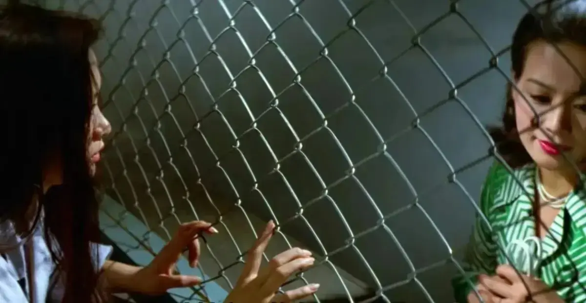 《芦苇地狱》《女子监狱实录》1080P高清全集无广告观看 - 经典禁映《芦苇地狱》孤岛女子监狱实录 - 完整版暴动复仇剧情迅雷夸克网盘下载