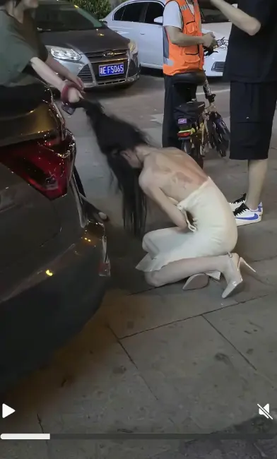 《白裙女子被抓头发跳河》后续完整版在线播放-湘E车牌白裙女子被揪头发坠河事件始末-高清画质无广告免费观看