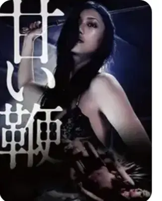 日本剧情片《甜蜜皮鞭》HD高清完整版免费看-《甜蜜皮鞭》2026电影中文字幕无删减-在线观看